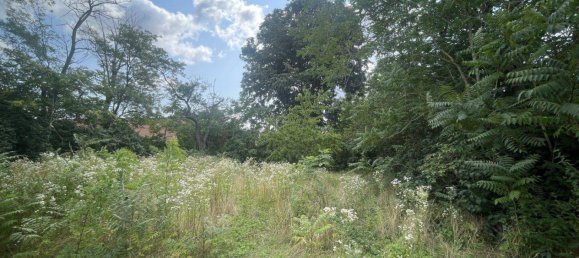  قطعة أرض في Nickelsdorf, Austria 3304متر مربع رقم 211215 4