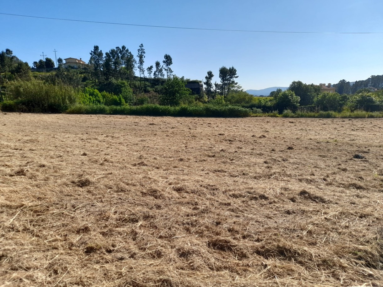  Land in Amarante, Portugal No. 57605