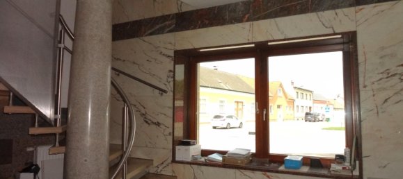 Gewerbliche Immobilie in Parndorf, Austria 2063m², Nr. 223404 6