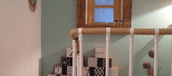 Duplex de 4 divisões em Heidelberg, Germany N.º 320830 13