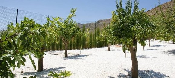 5 غرف نوم فيلا في Hondon De Las Nieves, Spain رقم 63583 12