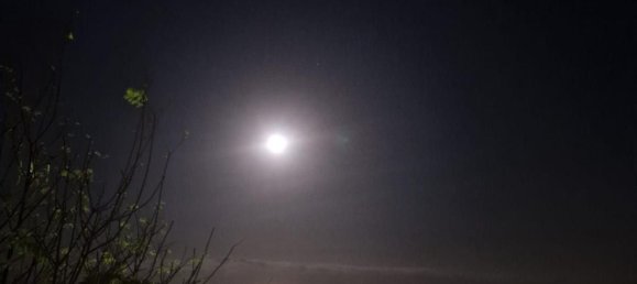 Квартира с 2 спальнями в Торремолинос, Испания № 151817 23