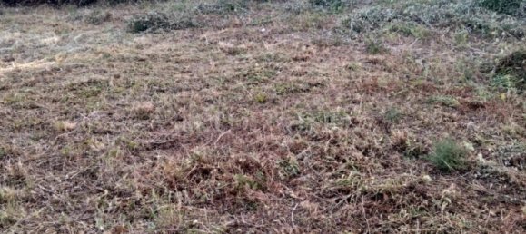 Terreno em Messina, Italy 820 m² N.º 349578 32