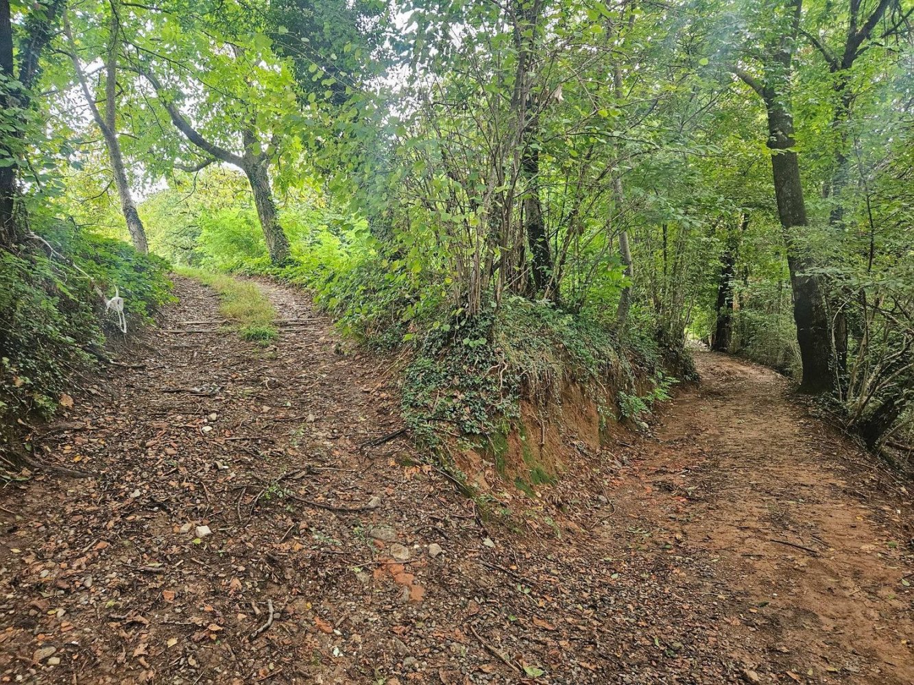 2330m² Land in Sorisole, Italy No. 393039