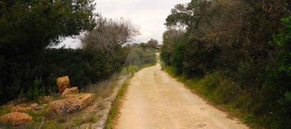 2 غرف نوم فيلا في Castrignano del Capo, Italy رقم 41913 25
