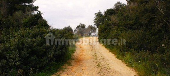 2 غرف نوم فيلا في Castrignano del Capo, Italy رقم 41913 28