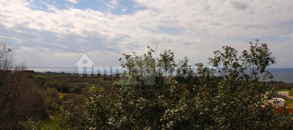 2 غرف نوم فيلا في Castrignano del Capo, Italy رقم 41913 16