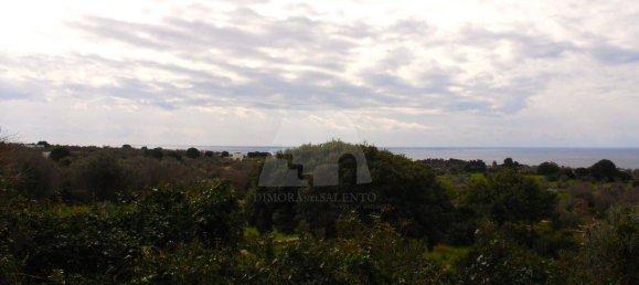 2 غرف نوم فيلا في Castrignano del Capo, Italy رقم 41913 22