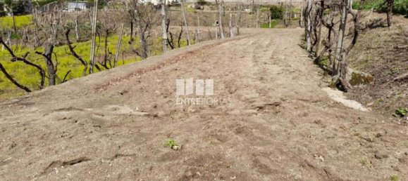 Terreno en Amarante, Portugal 4630 m² No. 59366 3