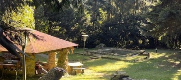 Terreno en Passau, Germany No. 170690 11