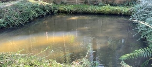 Terreno en Passau, Germany No. 170690 14