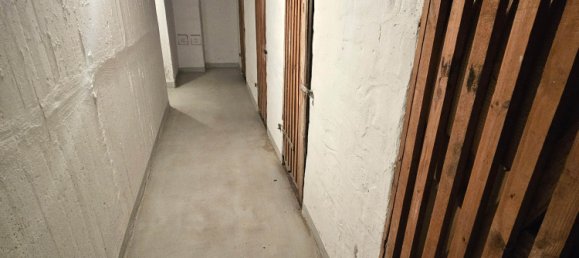 Квартира с 4 комнатами в Бургенланд, Германия № 14811 16