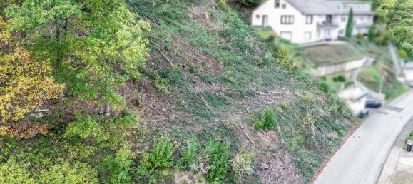 Grundstück in Euskirchen, Germany, Nr. 219079 2