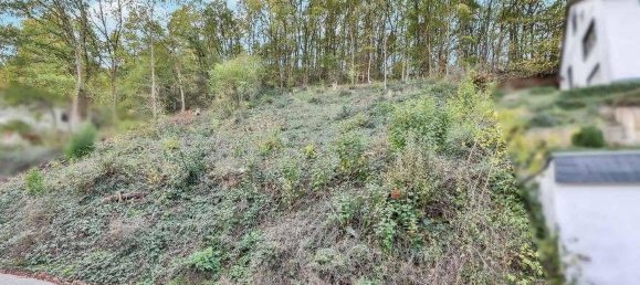 Grundstück in Euskirchen, Germany, Nr. 219079 3