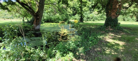 Дом с 5 спальнями в Шампиньи-сюр-Вёд, Франция № 152325 27