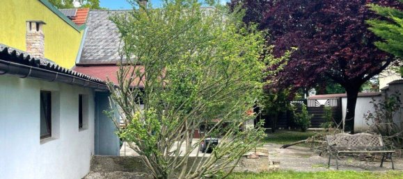 3 rooms House in Ebreichsdorf, Austria No. 49902 19