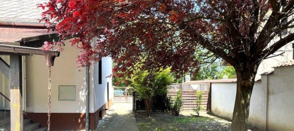 3 rooms House in Ebreichsdorf, Austria No. 49902 2