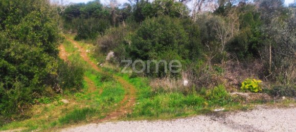 3150m² Land in Alvorge, Portugal No. 86064 29