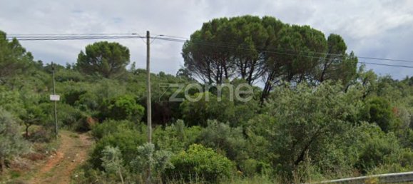 3150m² Land in Alvorge, Portugal No. 86064 37