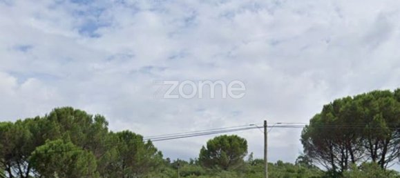 3150m² Land in Alvorge, Portugal No. 86064 19