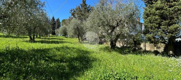 Дом с 2 спальнями в Мальяно Сабина, Италия № 359966 14