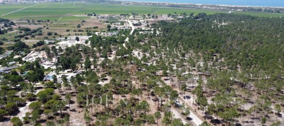  قطعة أرض في Alcacer do Sal, Portugal 801متر مربع رقم 123388 7