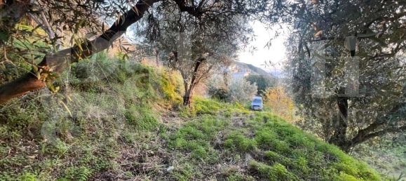 Terreno em Amantea, Italy 2630 m² N.º 276004 23