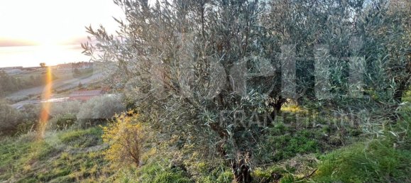 Terreno em Amantea, Italy 2630 m² N.º 276004 20