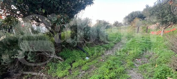 Terreno em Amantea, Italy 2630 m² N.º 276004 4