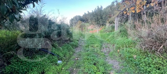 Terreno em Amantea, Italy 2630 m² N.º 276004 3