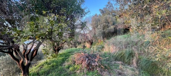 Terreno em Amantea, Italy 2630 m² N.º 276004 22