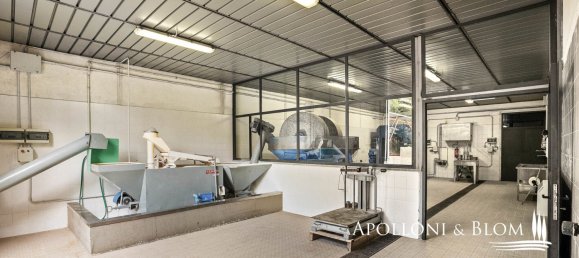 8 bedrooms House in Radda in Chianti, Italy No. 54102 26