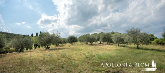 8 bedrooms House in Radda in Chianti, Italy No. 54102 22