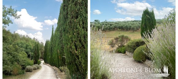 8 bedrooms House in Radda in Chianti, Italy No. 54102 13