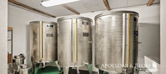 8 bedrooms House in Radda in Chianti, Italy No. 54102 36