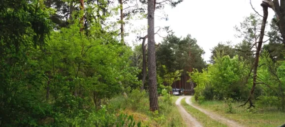 Casa de 4 habitaciónes en Oder-Spree, Germany No. 226813 31