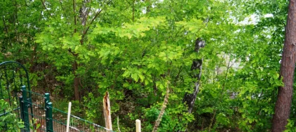 Casa de 4 habitaciónes en Oder-Spree, Germany No. 226813 27