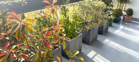 Квартира с 3 спальнями в Буа-Гийом, Франция № 316206 14