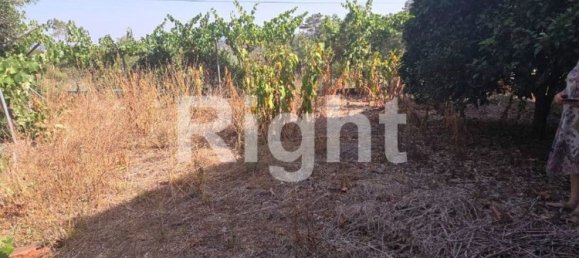 5 Schlafzimmer Haus in Vila de Rei, Portugal, Nr. 307617 6