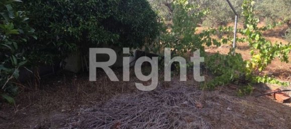 5 Schlafzimmer Haus in Vila de Rei, Portugal, Nr. 307617 9