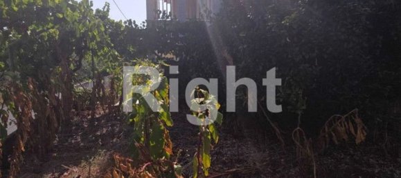 5 Schlafzimmer Haus in Vila de Rei, Portugal, Nr. 307617 7