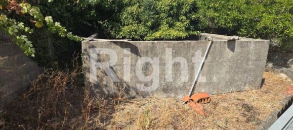 5 Schlafzimmer Haus in Vila de Rei, Portugal, Nr. 307617 8