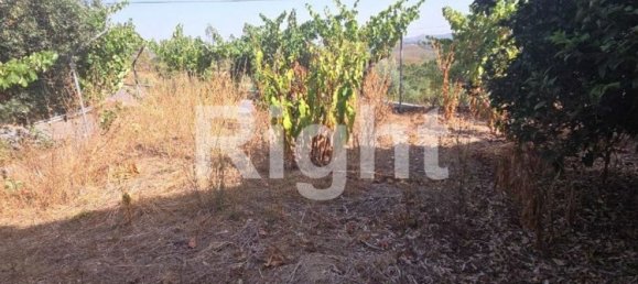 5 Schlafzimmer Haus in Vila de Rei, Portugal, Nr. 307617 13