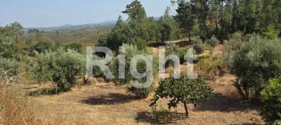 5 Schlafzimmer Haus in Vila de Rei, Portugal, Nr. 307617 10