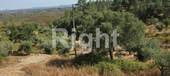 5 Schlafzimmer Haus in Vila de Rei, Portugal, Nr. 307617 14