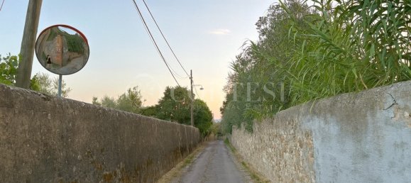 4 bedrooms Villa in Florence, Italy No. 295181 20