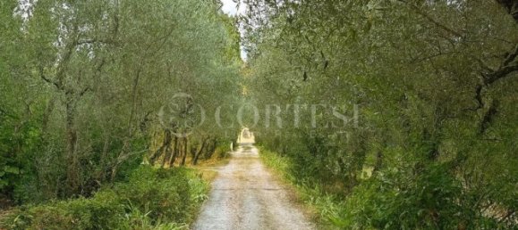 4 bedrooms Villa in Florence, Italy No. 295181 18