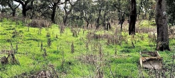 2 bedrooms Land in Grandola, Portugal No. 110700 9