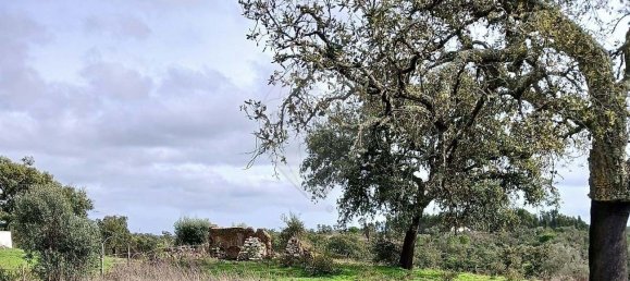 2 bedrooms Land in Grandola, Portugal No. 110700 5