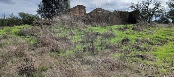 2 bedrooms Land in Grandola, Portugal No. 110700 6